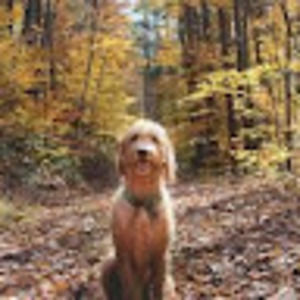 Meet your Posher, Hazel